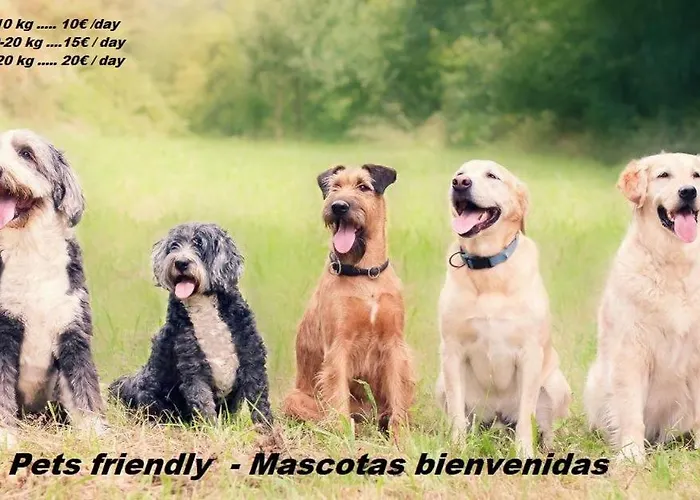 Safari Lejlighedshotel 2*