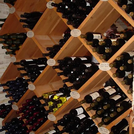 Aparthotel Safari Calella